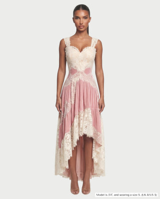 LYSANDRA Lace & Velvet Midi Dress
