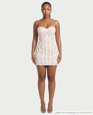 FLARY Floral Lace Corset Mini Dress