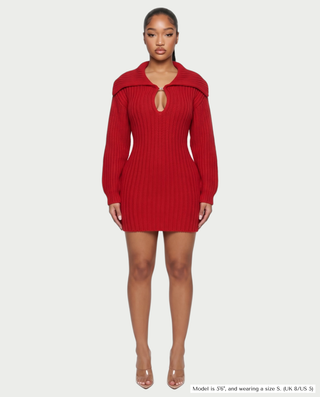 JOSA Wide Collar Long Sleeve Knit Mini Dress