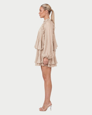NAVIA Ruffle Mock Neck Long Sleeve Mini Dress