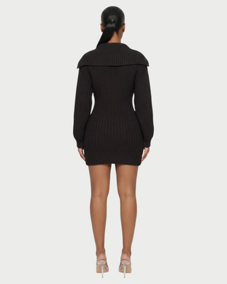 JOSA Wide Collar Long Sleeve Knit Mini Dress