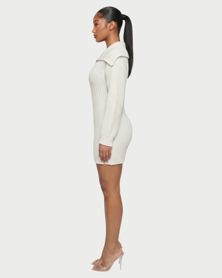 JOSA Wide Collar Long Sleeve Knit Mini Dress