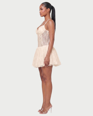 REZE Lace Mesh Tie-Back Mini Dress