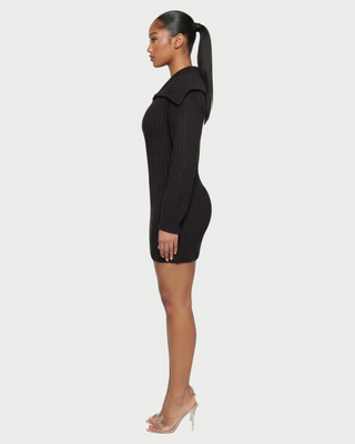 JOSA Wide Collar Long Sleeve Knit Mini Dress