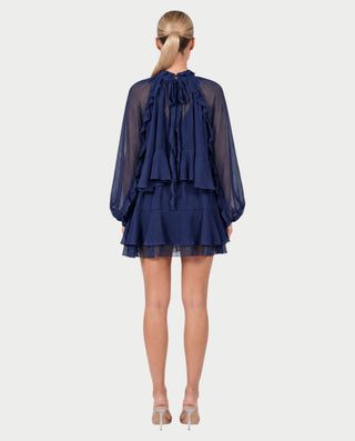 NAVIA Ruffle Mock Neck Long Sleeve Mini Dress