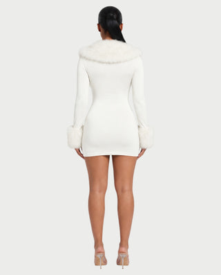 NANIA Faux Fur Trim Long Sleeve Bodycon Mini Dress
