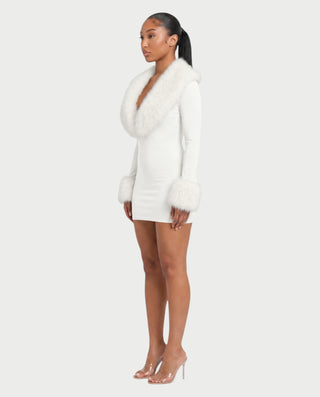 NANIA Faux Fur Trim Long Sleeve Bodycon Mini Dress