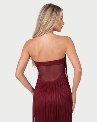 TURNEY Long Fringe Overlay Bodycon Maxi Dress