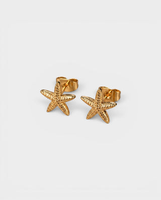 Stainless Steel Starfish Stud Earrings
