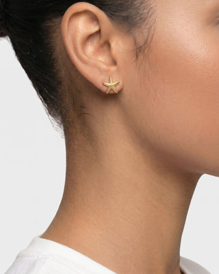 Stainless Steel Starfish Stud Earrings