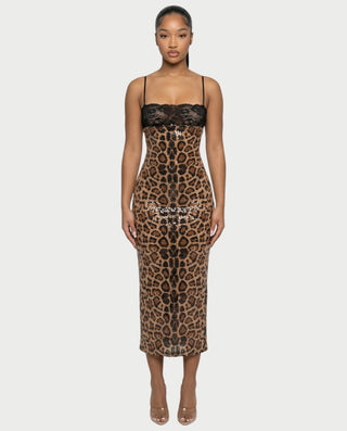 EVORA Leopard Sequin Lace-Bust Midi Dress