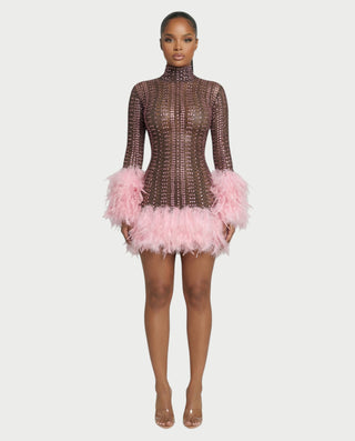 VINA Sheer Crystal Feather Trim Mini Dress