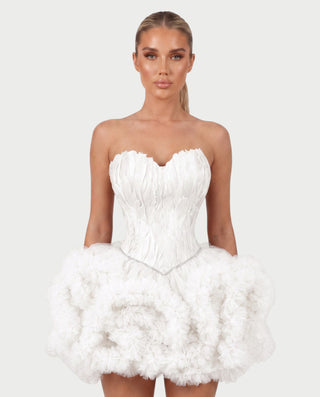 KLARINA Feather Corset Ruffle Tulle Mini Dress