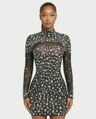 ROLANE Sheer Mesh Rhinestone Embellished Bodycon Mini Dress