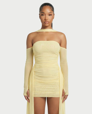 ANNE Strapless Mesh Mini Dress