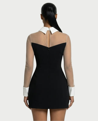 ALIRA Contrast Mesh-Collar Mini Dress