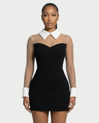 ALIRA Contrast Mesh-Collar Mini Dress