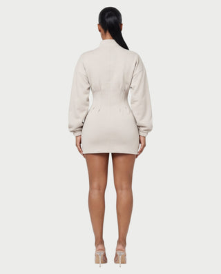 TALISA High Collar Long Sleeve Contoured Waist Mini Dress