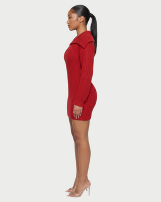 JOSA Wide Collar Long Sleeve Knit Mini Dress