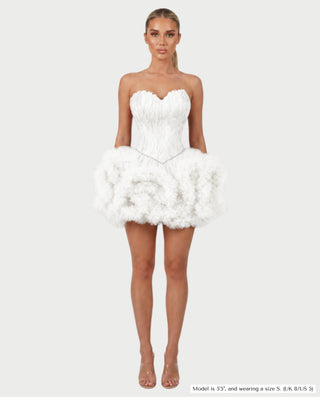 KLARINA Feather Corset Ruffle Tulle Mini Dress