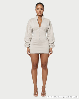 TALISA High Collar Long Sleeve Contoured Waist Mini Dress