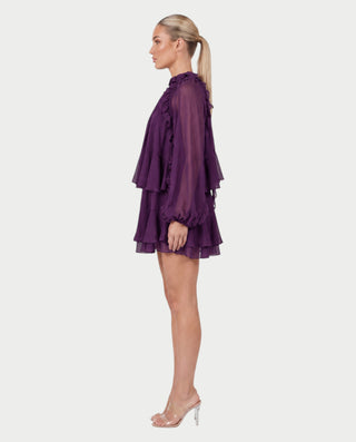 NAVIA Ruffle Mock Neck Long Sleeve Mini Dress