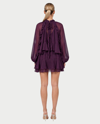 NAVIA Ruffle Mock Neck Long Sleeve Mini Dress