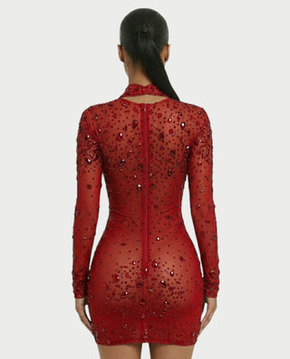 ROLANE Sheer Mesh Rhinestone Embellished Bodycon Mini Dress