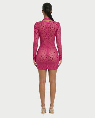 ROLANE Sheer Mesh Rhinestone Embellished Bodycon Mini Dress