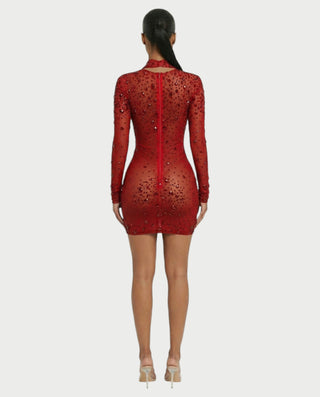 ROLANE Sheer Mesh Rhinestone Embellished Bodycon Mini Dress