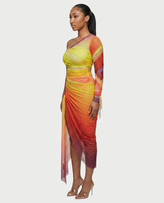 LUMEA One-Shoulder Mesh Drape Maxi Dress