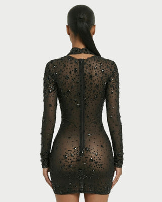 ROLANE Sheer Mesh Rhinestone Embellished Bodycon Mini Dress