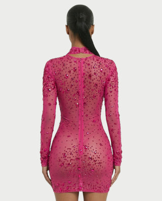 ROLANE Sheer Mesh Rhinestone Embellished Bodycon Mini Dress