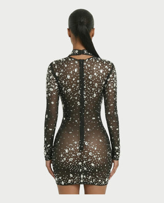 ROLANE Sheer Mesh Rhinestone Embellished Bodycon Mini Dress