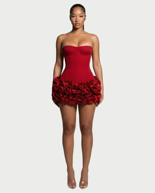 SCARLETTE Corset & Rose Mini Dress Set