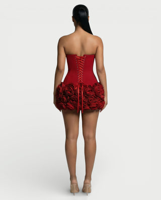 SCARLETTE Corset & Rose Mini Dress Set Celestia SCARLETTE Corset & Rose Mini Dress Set Celestia