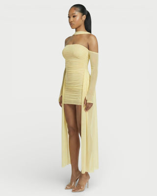 ANNE Strapless Mesh Mini Dress