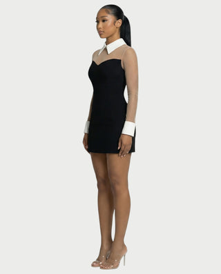 ALIRA Contrast Mesh-Collar Mini Dress