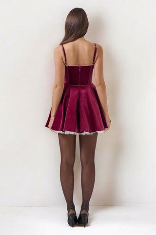 TIARA Velvet Tulle Mini Dress