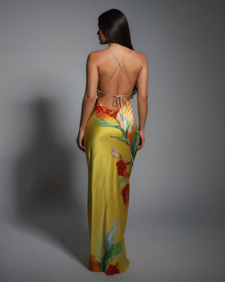 LUELLA Floral Print Backless Maxi Dress Celestia LUELLA Floral Print Backless Maxi Dress Celestia