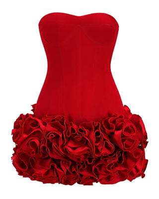 SCARLETTE Corset & Rose Mini Dress Set